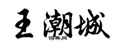 胡问遂王潮城行书个性签名怎么写