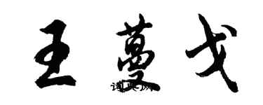 胡问遂王蔓戈行书个性签名怎么写
