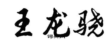 胡问遂王龙骁行书个性签名怎么写