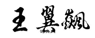 胡问遂王翼飙行书个性签名怎么写