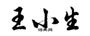 胡问遂王小生行书个性签名怎么写