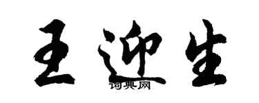 胡问遂王迎生行书个性签名怎么写