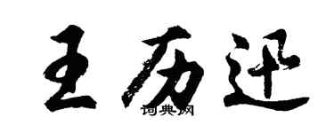 胡问遂王历迅行书个性签名怎么写
