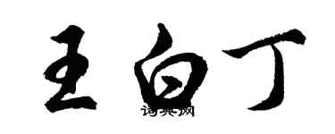 胡问遂王白丁行书个性签名怎么写