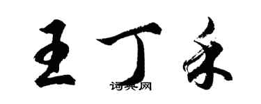 胡问遂王丁禾行书个性签名怎么写