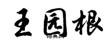 胡问遂王园根行书个性签名怎么写