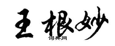 胡问遂王根妙行书个性签名怎么写