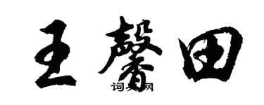 胡问遂王馨田行书个性签名怎么写