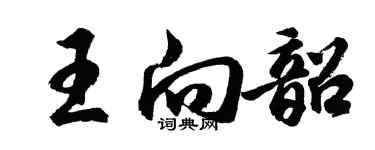 胡问遂王向韶行书个性签名怎么写
