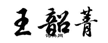 胡问遂王韶菁行书个性签名怎么写