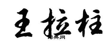 胡问遂王拉柱行书个性签名怎么写