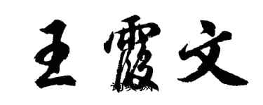 胡问遂王霞文行书个性签名怎么写