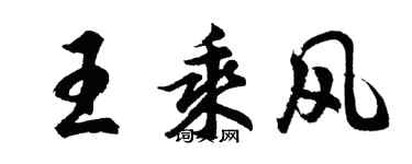 胡问遂王乘风行书个性签名怎么写