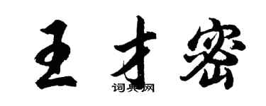 胡问遂王才密行书个性签名怎么写