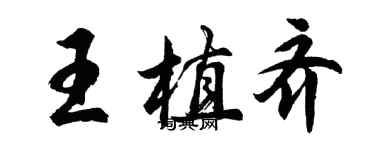 胡问遂王植齐行书个性签名怎么写