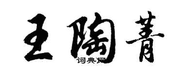 胡问遂王陶菁行书个性签名怎么写