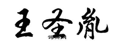 胡问遂王圣胤行书个性签名怎么写