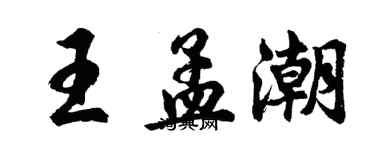 胡问遂王孟潮行书个性签名怎么写