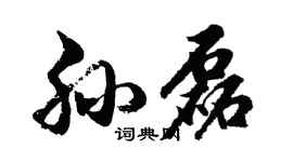 胡问遂孙磊行书个性签名怎么写