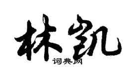胡问遂林凯行书个性签名怎么写