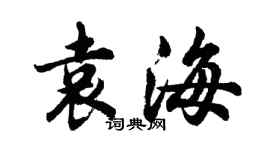 胡问遂袁海行书个性签名怎么写