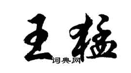 胡问遂王猛行书个性签名怎么写