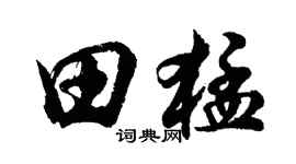 胡问遂田猛行书个性签名怎么写