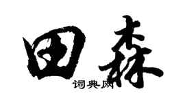 胡问遂田森行书个性签名怎么写