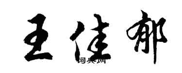 胡问遂王佳郁行书个性签名怎么写