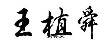 胡问遂王植舜行书个性签名怎么写