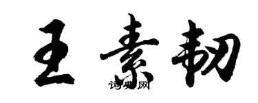 胡问遂王素韧行书个性签名怎么写