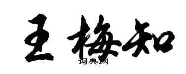 胡问遂王梅知行书个性签名怎么写