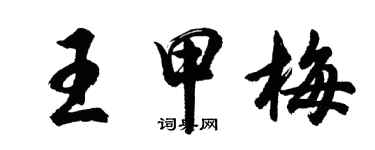 胡问遂王甲梅行书个性签名怎么写