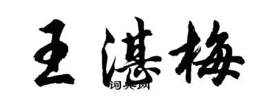 胡问遂王湛梅行书个性签名怎么写