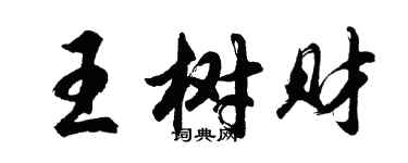 胡问遂王树财行书个性签名怎么写