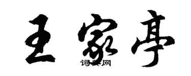 胡问遂王家亭行书个性签名怎么写