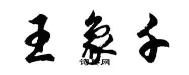 胡问遂王象千行书个性签名怎么写