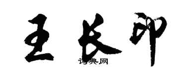 胡问遂王长印行书个性签名怎么写