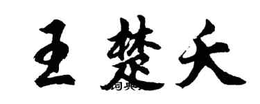胡问遂王楚夭行书个性签名怎么写