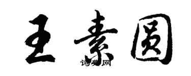 胡问遂王素圆行书个性签名怎么写