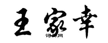 胡问遂王家幸行书个性签名怎么写