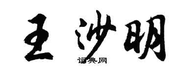 胡问遂王沙明行书个性签名怎么写