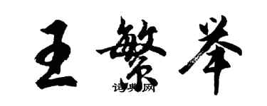 胡问遂王繁举行书个性签名怎么写