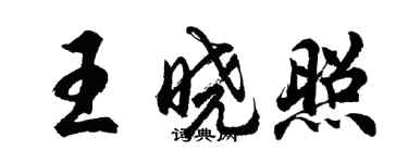 胡问遂王晓照行书个性签名怎么写