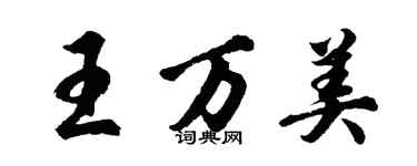 胡问遂王万美行书个性签名怎么写
