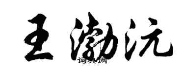 胡问遂王渤沅行书个性签名怎么写