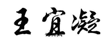 胡问遂王宜凝行书个性签名怎么写