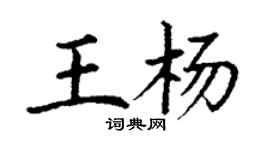 丁谦王杨楷书个性签名怎么写