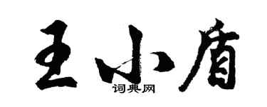 胡问遂王小盾行书个性签名怎么写