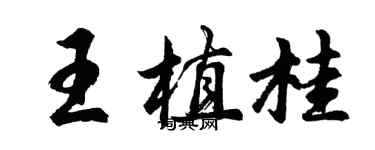 胡问遂王植桂行书个性签名怎么写